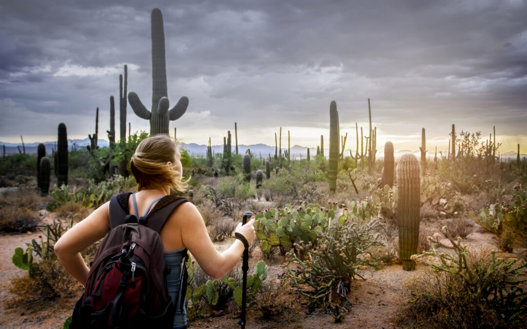 What’s New in 2025 – 25 American Experiences for 2025